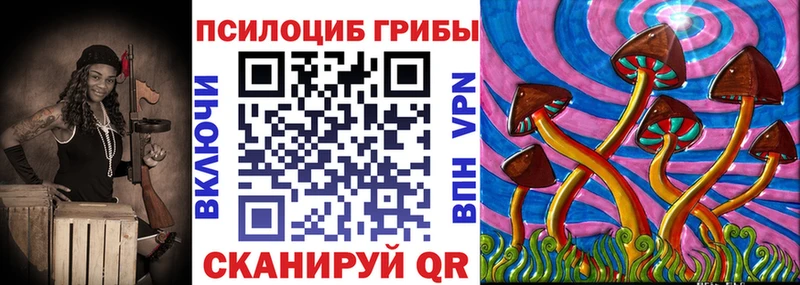 Псилоцибиновые грибы Psilocybine cubensis Болхов
